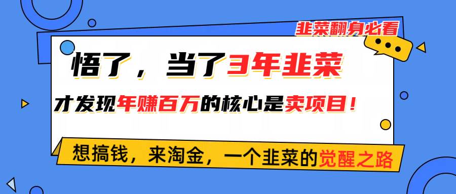 悟了,当了3年韭菜,才发现网赚圈年赚100万的核心是卖项目,含泪分享!网创吧-网创项目资源站-副业项目-创业项目-搞钱项目网创吧