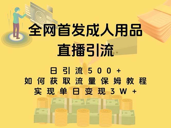 最新全网独创首发,成人用品直播引流获客暴力玩法,单日变现3w保姆级教程网创吧-网创项目资源站-副业项目-创业项目-搞钱项目网创吧