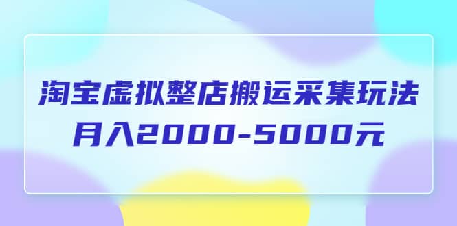 淘宝虚拟整店搬运采集玩法分享课:月入2000-5000元(5节课)网创吧-网创项目资源站-副业项目-创业项目-搞钱项目网创吧