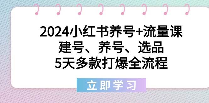 2024小红书养号+流量课:建号、养号、选品,5天多款打爆全流程网创吧-网创项目资源站-副业项目-创业项目-搞钱项目网创吧