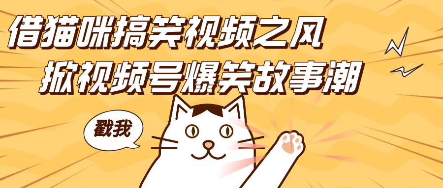 借猫咪搞笑视频之风,掀视频号爆笑故事潮,轻松日赚四位数,开启无门槛赚钱新体验!网创吧-网创项目资源站-副业项目-创业项目-搞钱项目网创吧