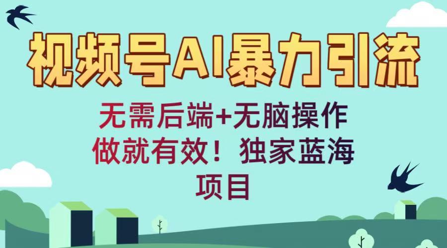 视频号AI暴力引流:无需后端+无脑操作,做就有效!独家蓝海项目网创吧-网创项目资源站-副业项目-创业项目-搞钱项目网创吧