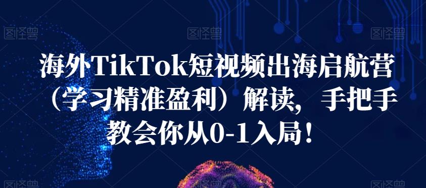 海外TikTok短视频出海启航营（学习精准盈利）解读，手把手教会你从0-1入局！网创吧-网创项目资源站-副业项目-创业项目-搞钱项目网创吧