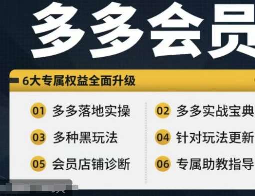 拼多多会员,拼多多实战宝典+实战落地实操,从新手到高阶内容全面覆盖网创吧-网创项目资源站-副业项目-创业项目-搞钱项目网创吧