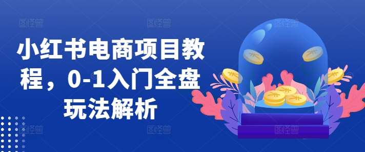 小红书电商项目教程，0-1入门全盘玩法解析网创吧-网创项目资源站-副业项目-创业项目-搞钱项目网创吧