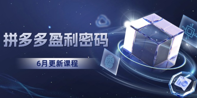 (15005期)拼多多盈利密码:从烧钱推广到印钞模型,底层逻辑重构指南(6月更新)网创吧-网创项目资源站-副业项目-创业项目-搞钱项目网创吧