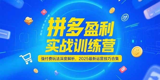 (15183期)拼多多盈利实战训练营,强付费玩法深度解析,2025运营技巧合集-更新6月网创吧-网创项目资源站-副业项目-创业项目-搞钱项目网创吧