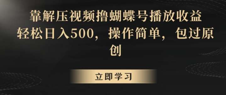 靠解压视频撸蝴蝶号播放收益,轻松日入500,操作简单,包过原创【揭秘】网创吧-网创项目资源站-副业项目-创业项目-搞钱项目网创吧