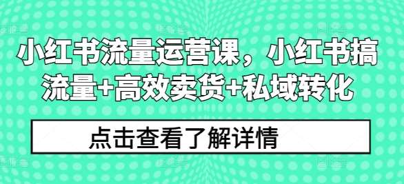 小红书流量运营课,小红书搞流量+高效卖货+私域转化网创吧-网创项目资源站-副业项目-创业项目-搞钱项目网创吧