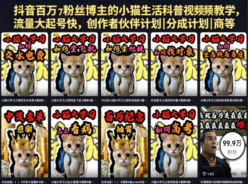抖音百万粉丝博主的小猫生活科普视频教学，流量大起号快，创作者伙伴计划|分成计划|商单|收徒等网创吧-网创项目资源站-副业项目-创业项目-搞钱项目网创吧