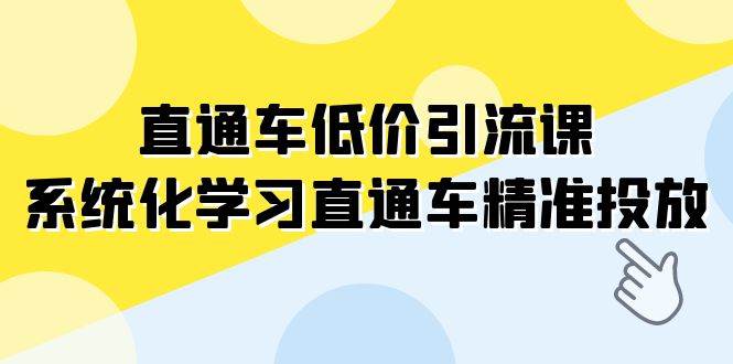 (7698期)直通车-低价引流课,系统化学习直通车精准投放(14节课)网创吧-网创项目资源站-副业项目-创业项目-搞钱项目网创吧
