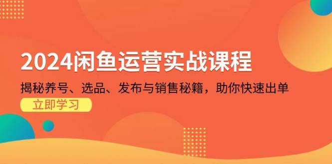 (13290期)2024闲鱼运营实战课程:揭秘养号、选品、发布与销售秘籍,助你快速出单网创吧-网创项目资源站-副业项目-创业项目-搞钱项目网创吧