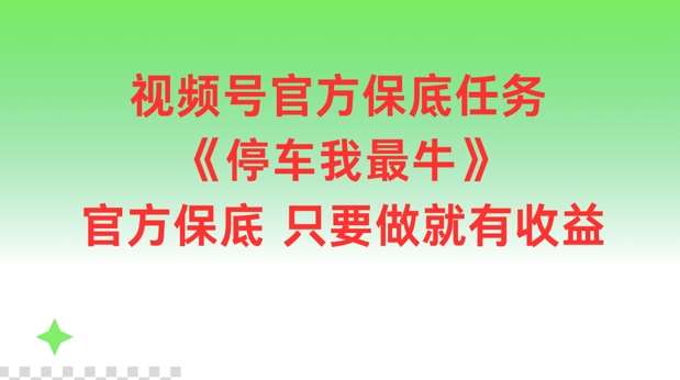 视频号官方保底任务,停车我最牛,官方保底只要做就有收益【揭秘】网创吧-网创项目资源站-副业项目-创业项目-搞钱项目网创吧