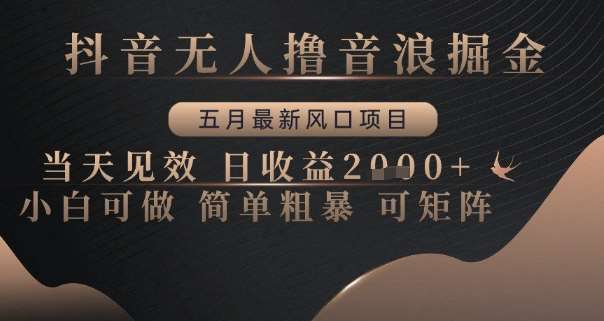 抖音无人撸音浪掘金,五月最新风口项目,当天见效,日收益多张,小白可做简单粗暴可矩阵【揭秘】网创吧-网创项目资源站-副业项目-创业项目-搞钱项目网创吧