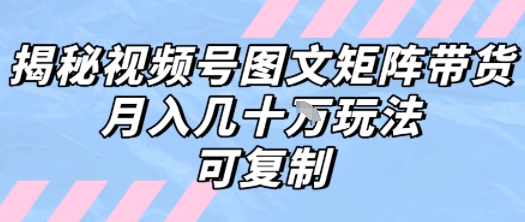解密视频号图文矩阵带货,月入几个W的打法,可复制网创吧-网创项目资源站-副业项目-创业项目-搞钱项目网创吧