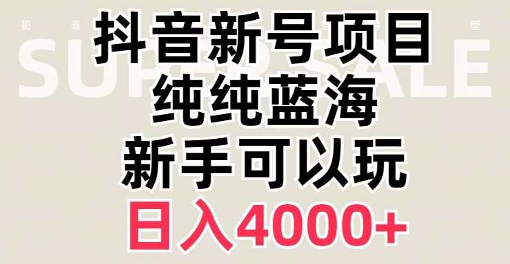 抖音蓝海赛道,必须是新账号,日入4000+【揭秘】网创吧-网创项目资源站-副业项目-创业项目-搞钱项目网创吧