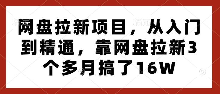 网盘拉新项目,从入门到精通,靠网盘拉新3个多月搞了16W网创吧-网创项目资源站-副业项目-创业项目-搞钱项目网创吧