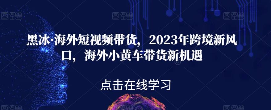 黑冰·海外短视频带货,2023年跨境新风口,海外小黄车带货新机遇网创吧-网创项目资源站-副业项目-创业项目-搞钱项目网创吧