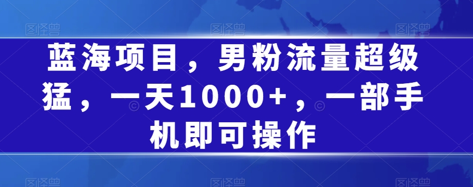 蓝海项目,男粉流量超级猛,一天1000+,一部手机即可操作【揭秘】网创吧-网创项目资源站-副业项目-创业项目-搞钱项目网创吧