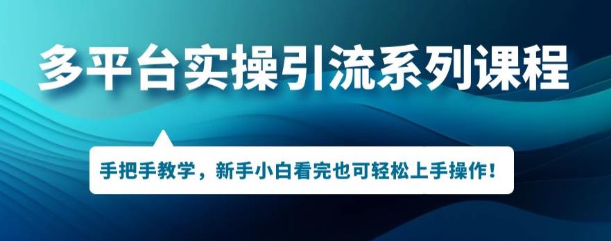 多平台引流实操系列课程,新手小白看完也可轻松上手进行引流操作网创吧-网创项目资源站-副业项目-创业项目-搞钱项目网创吧