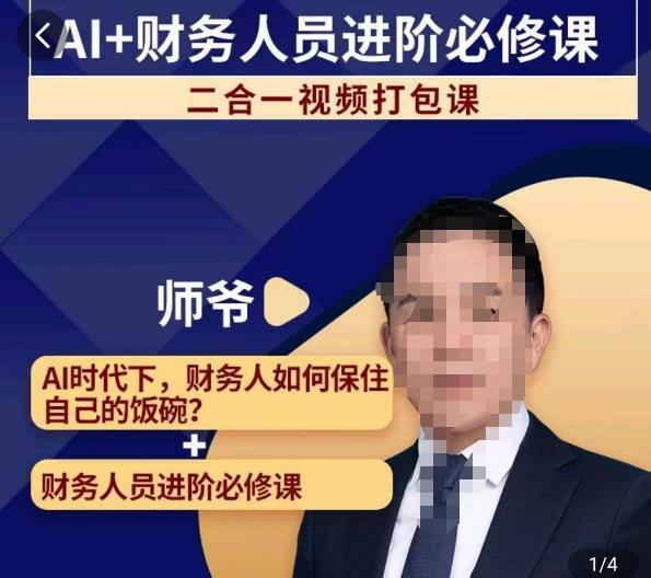 AI+财务人员进阶必修课二合一视频打包课,财务人员进阶必修课网创吧-网创项目资源站-副业项目-创业项目-搞钱项目网创吧
