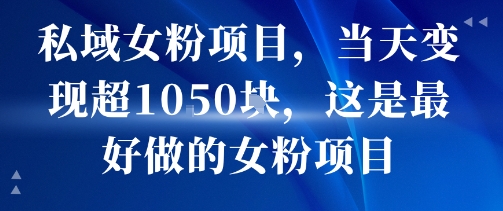 私域女粉项目,当天变现超1k,这是最好做的女粉项目,可放大操作网创吧-网创项目资源站-副业项目-创业项目-搞钱项目网创吧