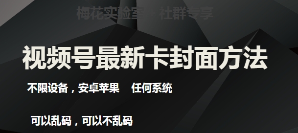 最新视频号直播卖惨乞讨玩法,流量嘎嘎滴,轻松日入300+网创吧-网创项目资源站-副业项目-创业项目-搞钱项目网创吧