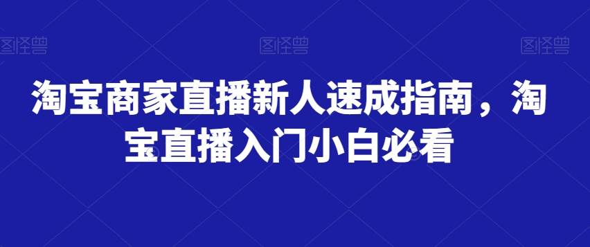 淘宝商家直播新人速成指南,淘宝直播入门小白必看网创吧-网创项目资源站-副业项目-创业项目-搞钱项目网创吧