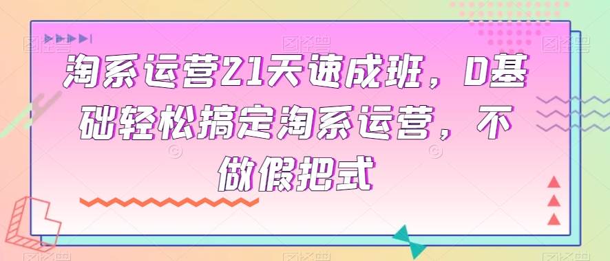 淘系运营21天速成班,0基础轻松搞定淘系运营,不做假把式网创吧-网创项目资源站-副业项目-创业项目-搞钱项目网创吧