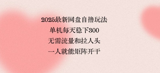 2025最新网盘自撸玩法,单机每天稳下3张,无需流量和拉人头,一个人就可轻松矩阵,全网独一份【揭秘】网创吧-网创项目资源站-副业项目-创业项目-搞钱项目网创吧