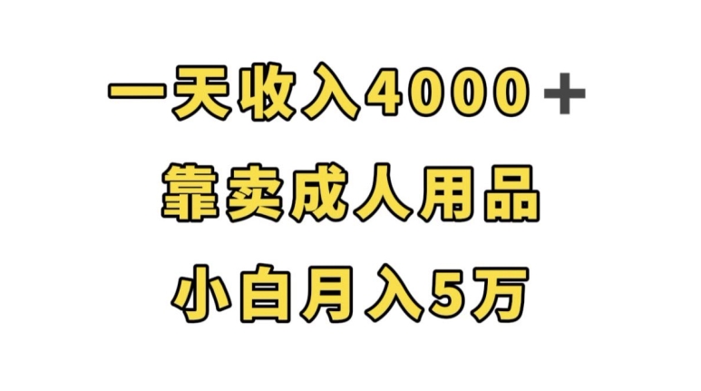 一天收入4000+,靠卖成人用品,小白轻松月入5万【揭秘】网创吧-网创项目资源站-副业项目-创业项目-搞钱项目网创吧