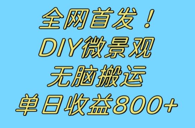 全网首发冷门赛道！DIY微景观，无脑搬运视频，日收益800+【揭秘】网创吧-网创项目资源站-副业项目-创业项目-搞钱项目网创吧