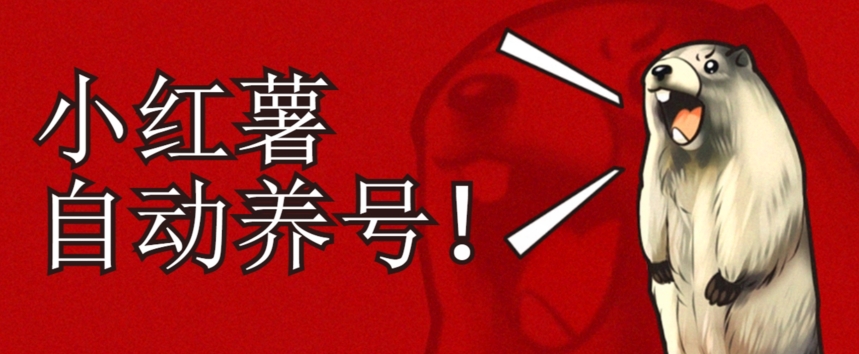 小红书养号秘籍，如何自动涨粉清晰系统标签打造高权重账号【揭秘】网创吧-网创项目资源站-副业项目-创业项目-搞钱项目网创吧