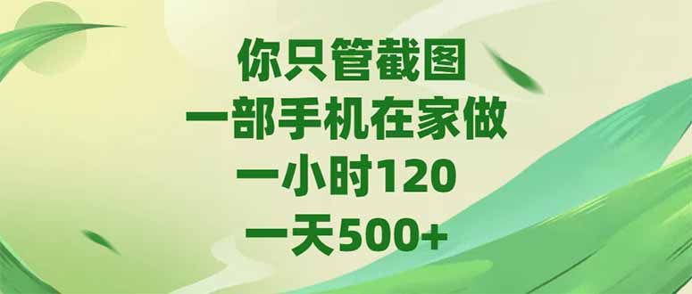 (15039期)你只管截图,一部手机在家做,一小时120,-天500+网创吧-网创项目资源站-副业项目-创业项目-搞钱项目网创吧