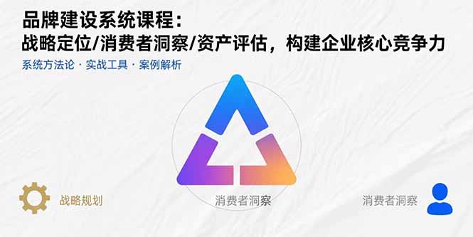 (15772期)品牌建设系统课程:战略定位/消费者洞察/资产评估,构建企业核心竞争力网创吧-网创项目资源站-副业项目-创业项目-搞钱项目网创吧