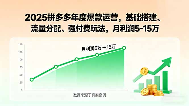 (15973期)2025拼多多年度爆款运营,基础搭建、流量分配、强付费玩法,月利润5-15万网创吧-网创项目资源站-副业项目-创业项目-搞钱项目网创吧