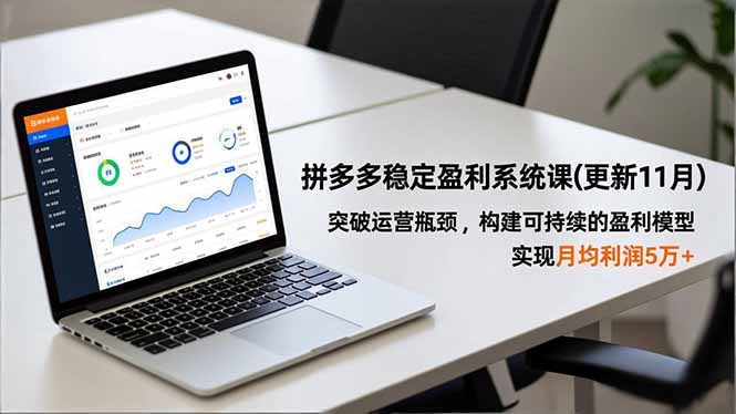 (16641期)拼多多稳定盈利系统课(更新11月),突破运营瓶颈,构建可持续的盈利模型,实现月均利润5万+网创吧-网创项目资源站-副业项目-创业项目-搞钱项目网创吧