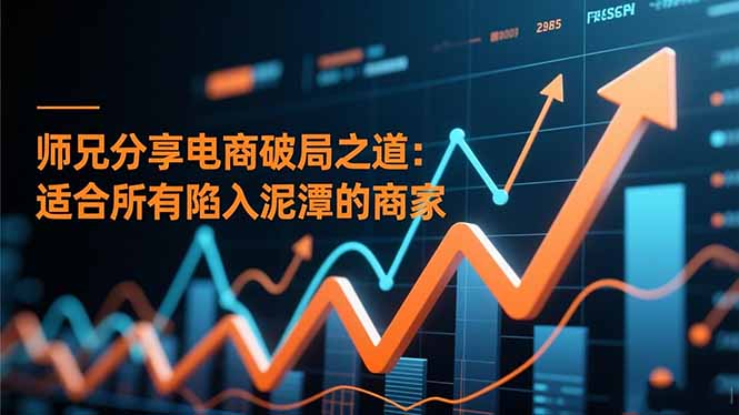 （16578期）师兄分享电商破局之道：适合所有陷入泥潭的商家网创吧-网创项目资源站-副业项目-创业项目-搞钱项目网创吧