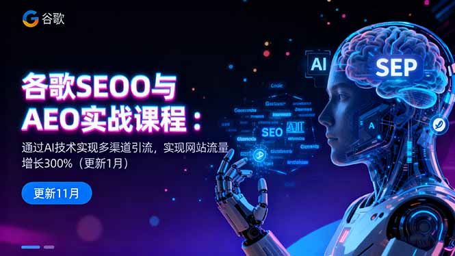 （16463期）谷歌SEO与AEO实战课程：通过AI技术实现多渠道引流，实现网站流量增长300%网创吧-网创项目资源站-副业项目-创业项目-搞钱项目网创吧