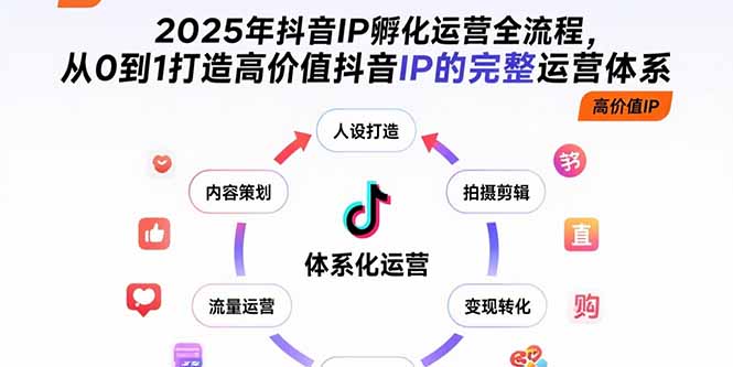 (15610期)2025年抖音IP孵化运营全流程,从0到1打造高价值抖音IP的完整运营体系网创吧-网创项目资源站-副业项目-创业项目-搞钱项目网创吧
