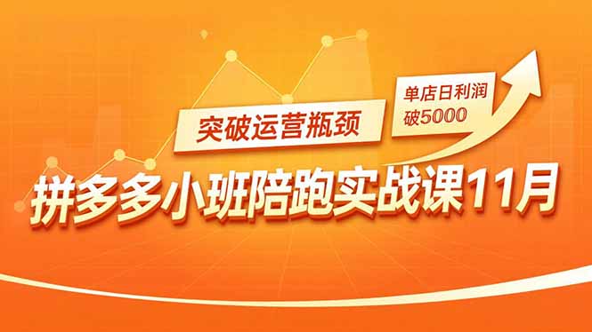 (16654期)拼多多小班陪跑实战课11月,强付费矩阵、原价活动、暗券引流,突破运营瓶颈,单店日利润破5000网创吧-网创项目资源站-副业项目-创业项目-搞钱项目网创吧