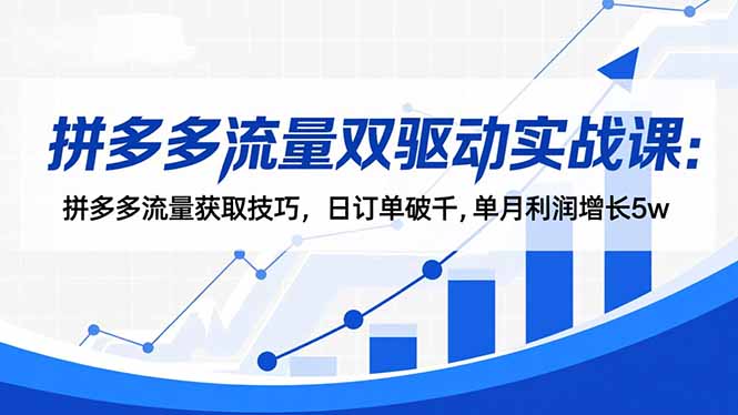 (16563期)拼多多流量双驱动实战课:拼多多流量获取技巧,日订单破千,单月利润增长5w网创吧-网创项目资源站-副业项目-创业项目-搞钱项目网创吧