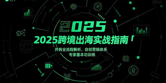 (15503期)2025跨境出海实战指南,并购全流程解析,自创营销体系,专家基本功训练网创吧-网创项目资源站-副业项目-创业项目-搞钱项目网创吧