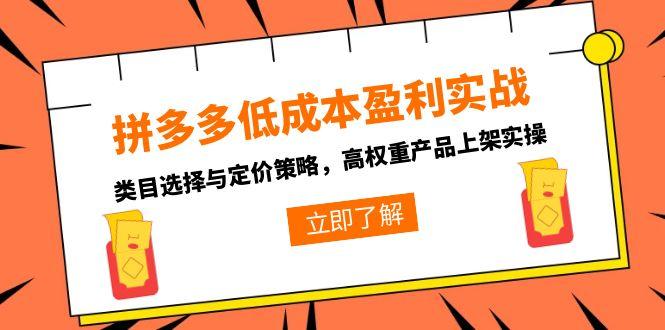 （15143期）拼多多低成本盈利实战，类目选择与定价策略，高权重产品上架实操网创吧-网创项目资源站-副业项目-创业项目-搞钱项目网创吧