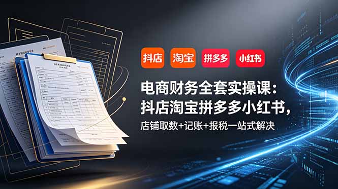 (19001期)电商财务全套实操课:抖店淘宝拼多多小红书,店铺取数+记账+报税一站式解决网创吧-网创项目资源站-副业项目-创业项目-搞钱项目网创吧