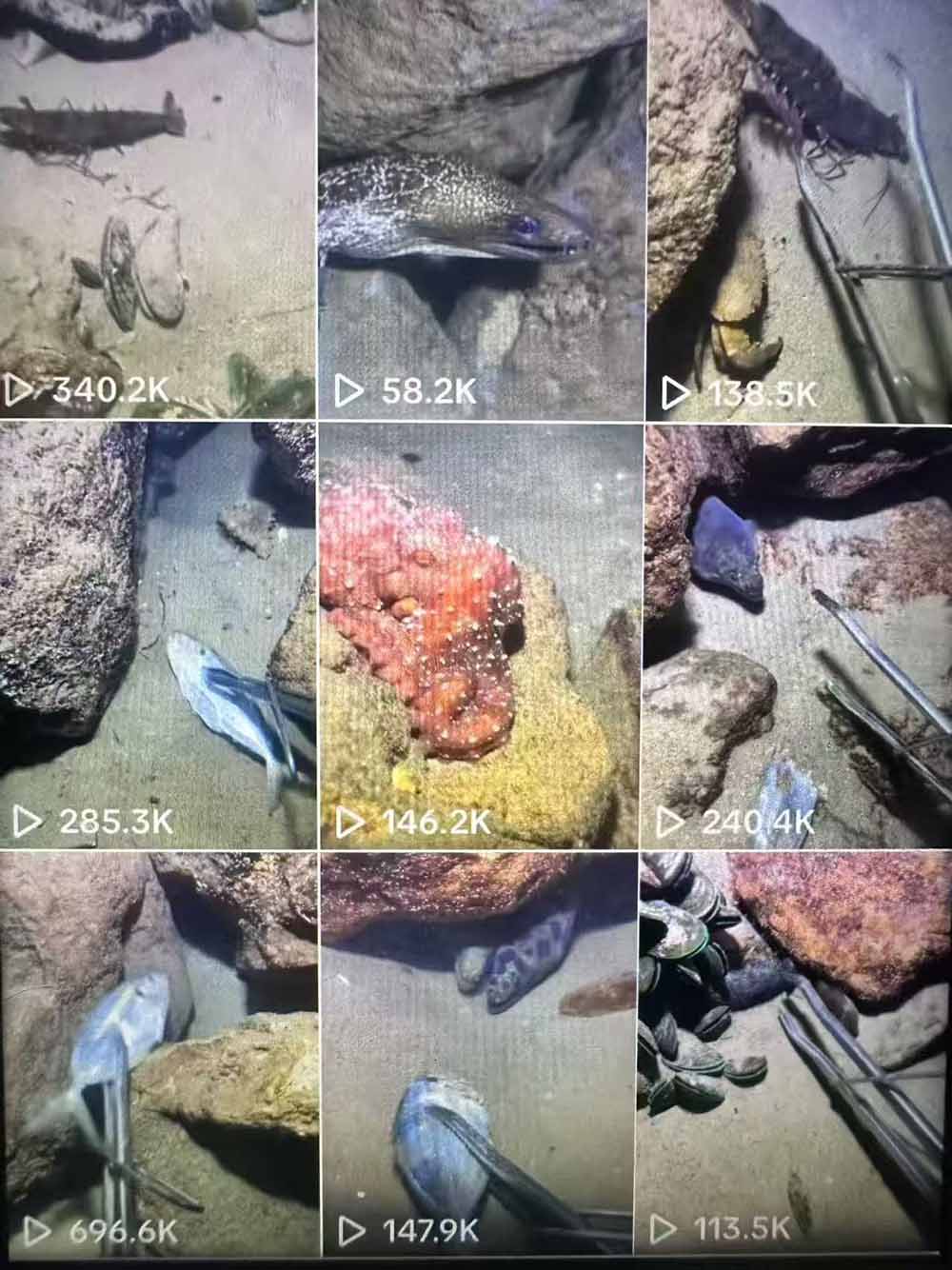 （18910期）Tiktok中视频解说教程，体育+温情文案双赛道实操教程一站式带你落地网创吧-网创项目资源站-副业项目-创业项目-搞钱项目网创吧