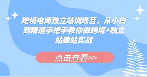 跨境电商独立站训练营,从小白到精通手把手教你做跨境+独立站建站实战网创吧-网创项目资源站-副业项目-创业项目-搞钱项目网创吧