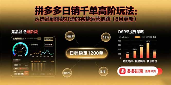 (15850期)拼多多日销千单高阶玩法:从选品到爆款打造的完整运营链路(8月更新)网创吧-网创项目资源站-副业项目-创业项目-搞钱项目网创吧