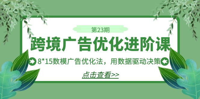 跨境广告·优化进阶课·第23期,8*15数模广告优化法,用数据驱动决策网创吧-网创项目资源站-副业项目-创业项目-搞钱项目网创吧
