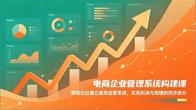 (16643期)电商企业管理系统构建课:帮助企业建立高效运营系统,实现利润与规模的同步跃升网创吧-网创项目资源站-副业项目-创业项目-搞钱项目网创吧